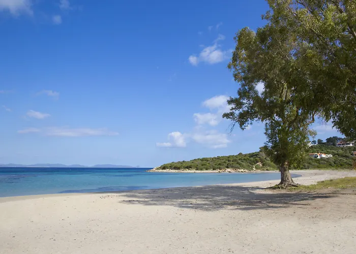 Szálloda Lu' Maladroxia